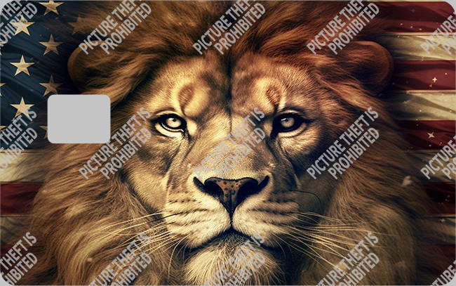 Bank  Card Sticker-BC-1536